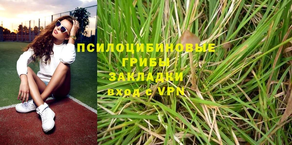 PSILOCYBIN Абинск